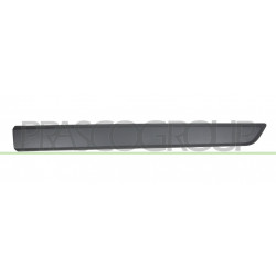 Baguette de porte avant côté passager