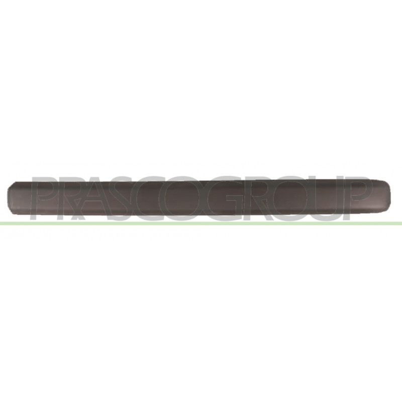 Bandeau noir de porte avant côté passager Bandeau noir de porte avant côté passager