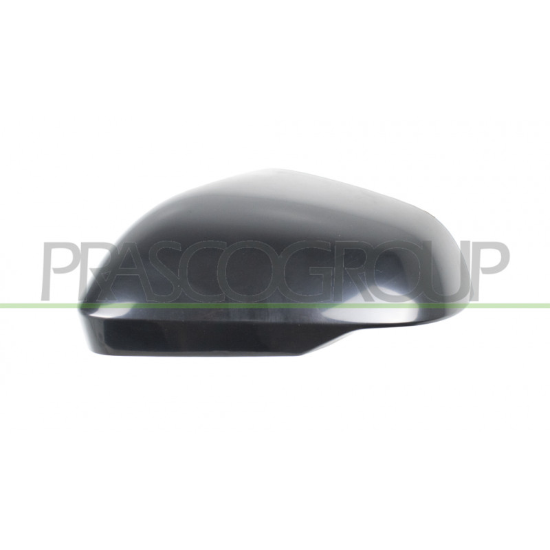 Coque de rétroviseur noir côté chauffeur Coque de rétroviseur noir côté chauffeur