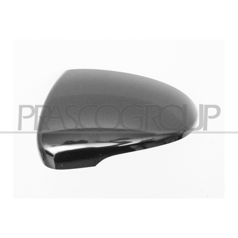 Coque de rétroviseur noir côté chauffeur Coque de rétroviseur noir côté chauffeur