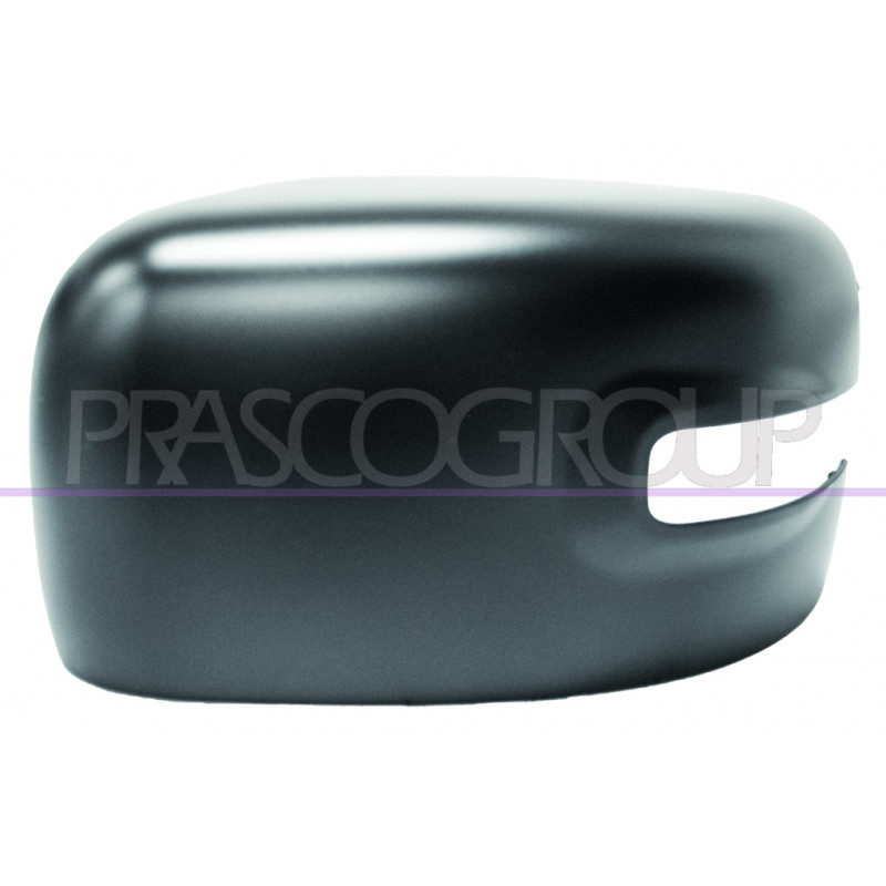 Coque de rétroviseur noir côté chauffeur Coque de rétroviseur noir côté chauffeur