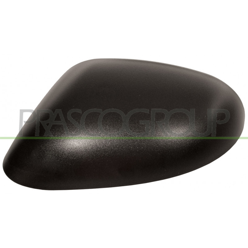 Coque de rétroviseur noir côté chauffeur Coque de rétroviseur noir côté chauffeur