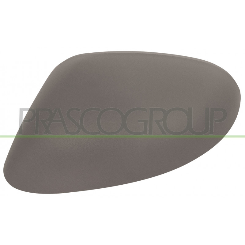 Coque de rétroviseur à peindre avec apprêt côté chauffeur Coque de rétroviseur à peindre avec apprêt côté chauffeur