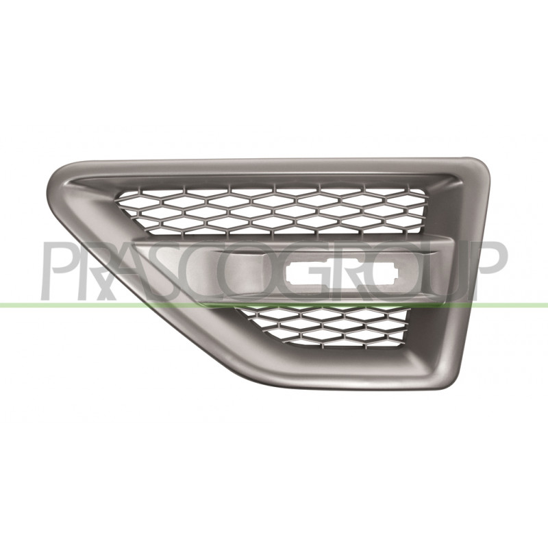 Grille argent d'aile avant côté chauffeur Grille argent d'aile avant côté chauffeur