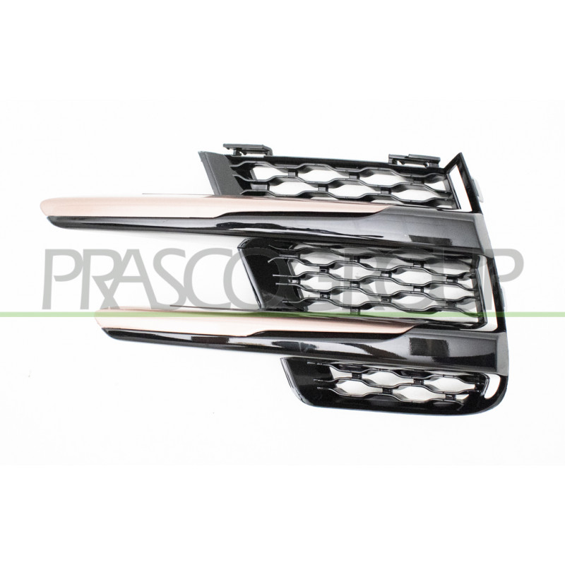 Grille de pare-chocs avant noir poli et moulure bronze côté chauffeur Grille de pare-chocs avant noir poli et moulure bronze côté chauffeur