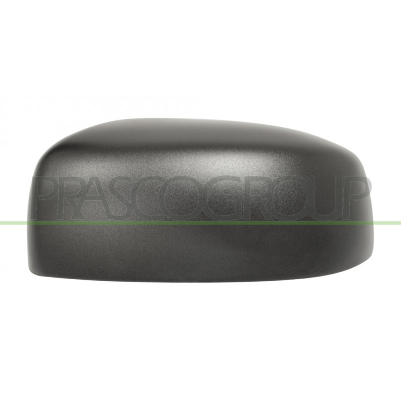 Coque de rétroviseur noir côté chauffeur Coque de rétroviseur noir côté chauffeur