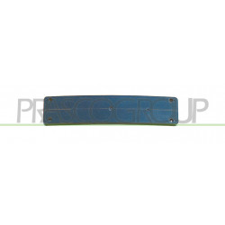 Support de plaque de police avant