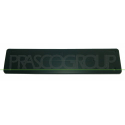 Support de plaque de police avant