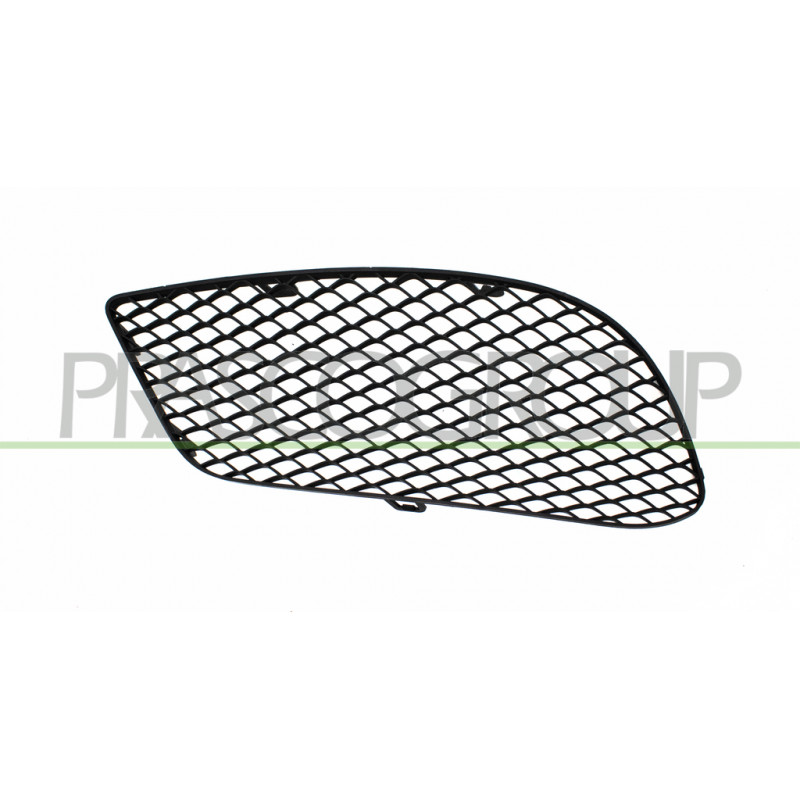 Grille de pare-chocs avant côté chauffeur Grille de pare-chocs avant côté chauffeur