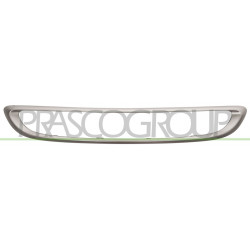 Moulure grise de grille centrale de pare-chocs avant