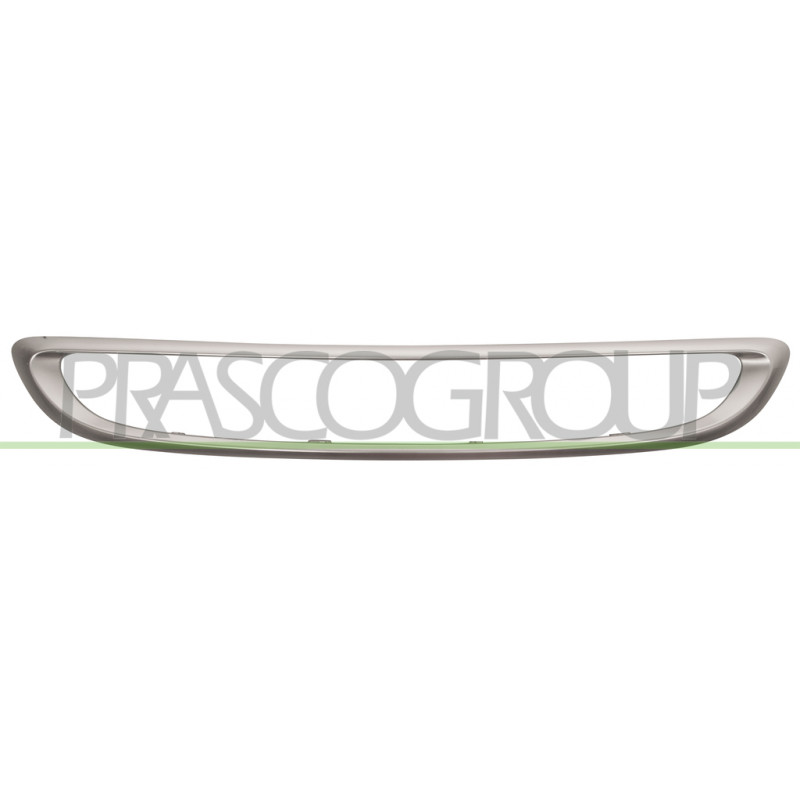 Moulure grise de grille centrale de pare-chocs avant Moulure grise de grille centrale de pare-chocs avant