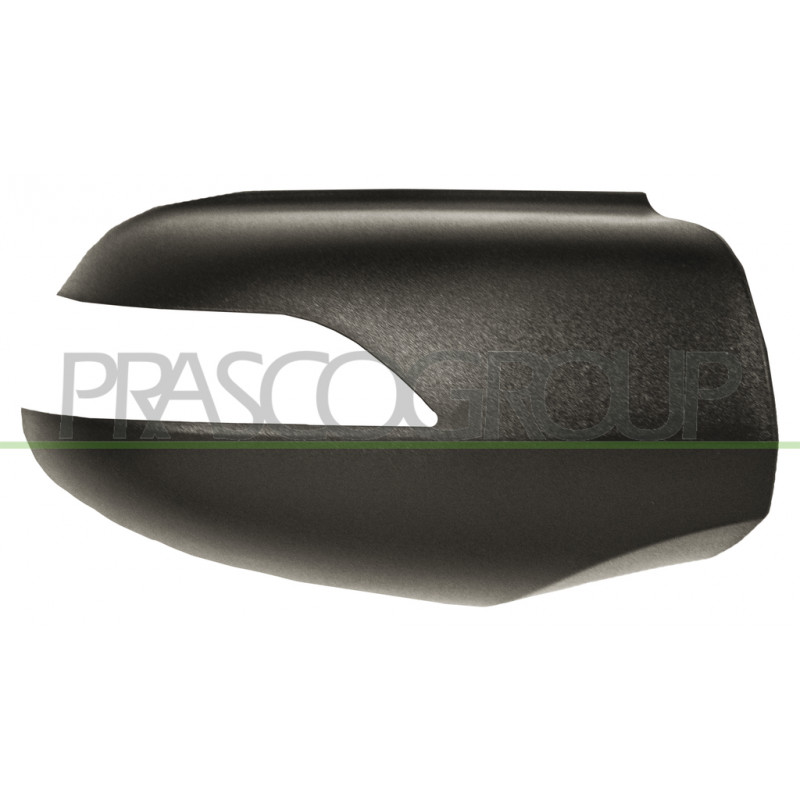 Coque de rétroviseur noir côté chauffeur Coque de rétroviseur noir côté chauffeur