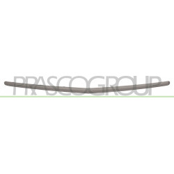 Baguette centrale grise de pare-chocs avant