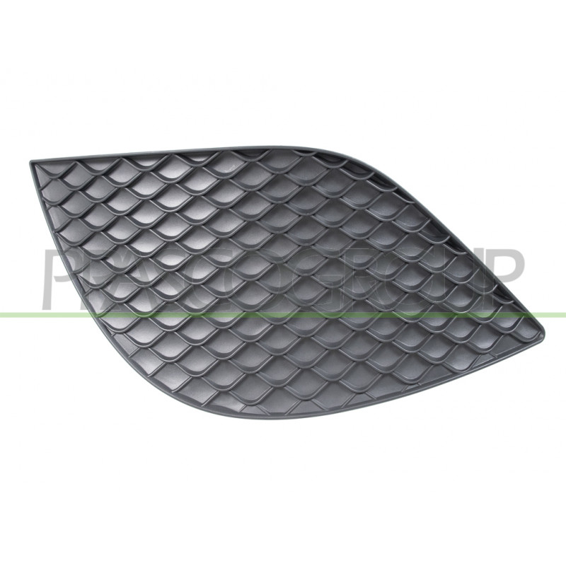 Grille noire de pare-chocs avant côté chauffeur Grille noire de pare-chocs avant côté chauffeur