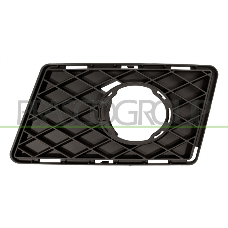 Grille de pare-chocs avant côté chauffeur Grille de pare-chocs avant côté chauffeur