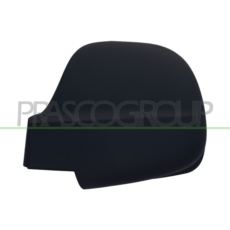 Coque de rétroviseur noir côté chauffeur Coque de rétroviseur noir côté chauffeur