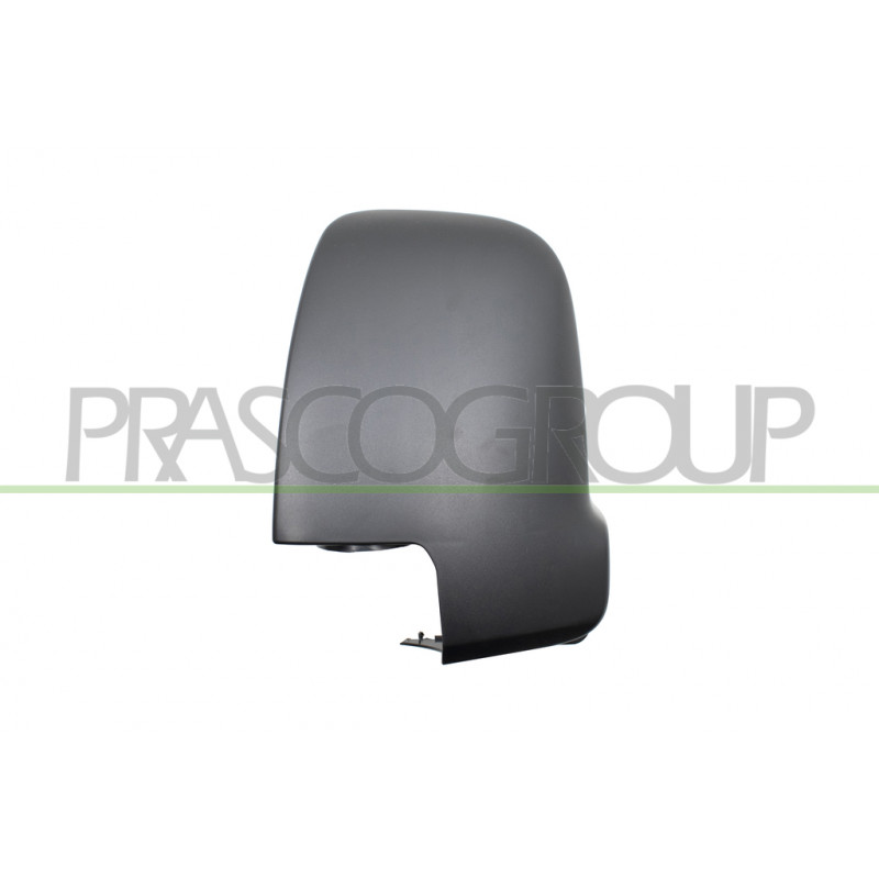 Coque de rétroviseur noir côté chauffeur Coque de rétroviseur noir côté chauffeur