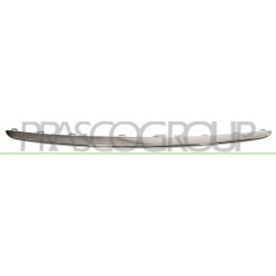 Moulure chrome de grille de calandre centrale