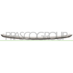 Moulure inférieure chrome de grille de calandre