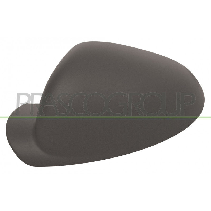 Coque de rétroviseur à peindre avec apprêt côté chauffeur Coque de rétroviseur à peindre avec apprêt côté chauffeur