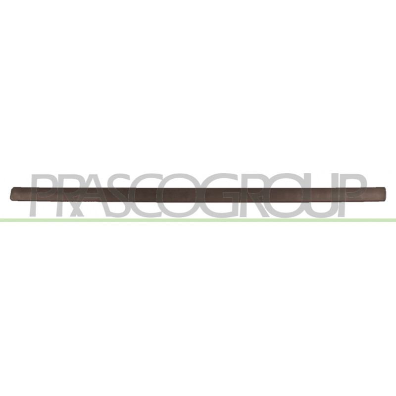 Baguette noir de porte avant côté passager Baguette noir de porte avant côté passager
