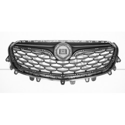 Grille de calandre noir
