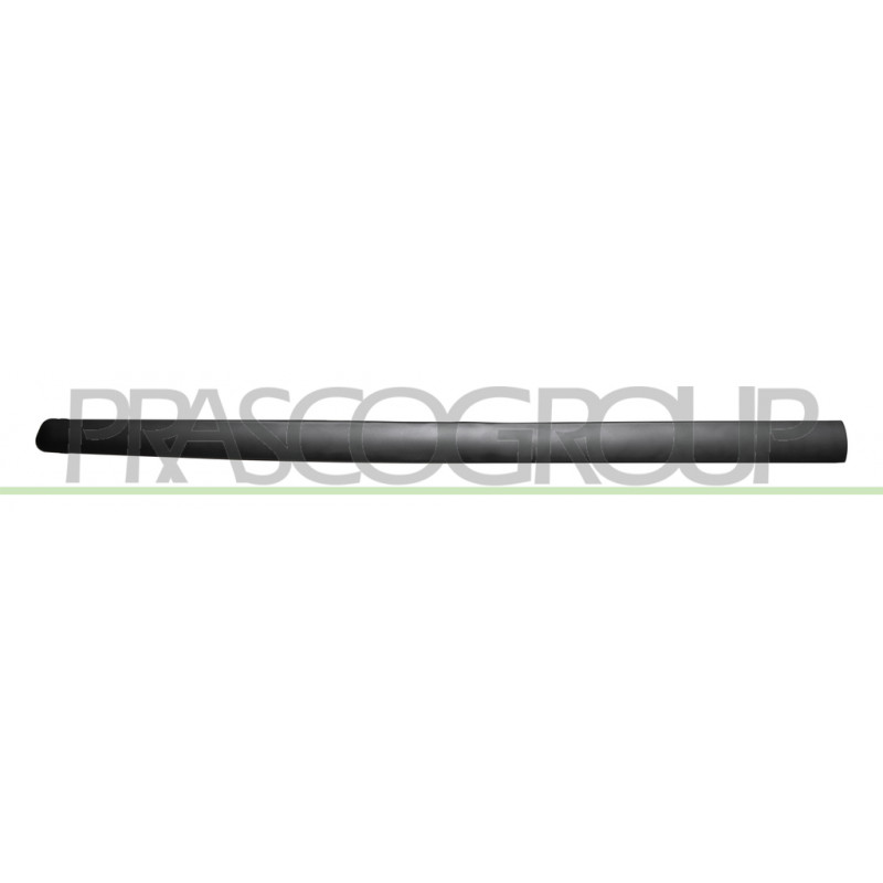 Bandeau noir de porte avant côté passager Bandeau noir de porte avant côté passager