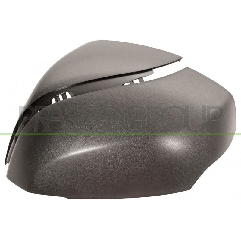 Coque de rétroviseur noir côté chauffeur Coque de rétroviseur noir côté chauffeur