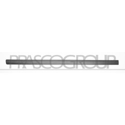 Bandeau gris foncé de porte avant côté chauffeur