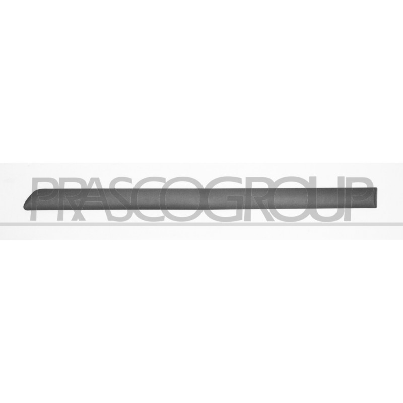 Bandeau gris foncé de porte arrière côté chauffeur Bandeau gris foncé de porte arrière côté chauffeur