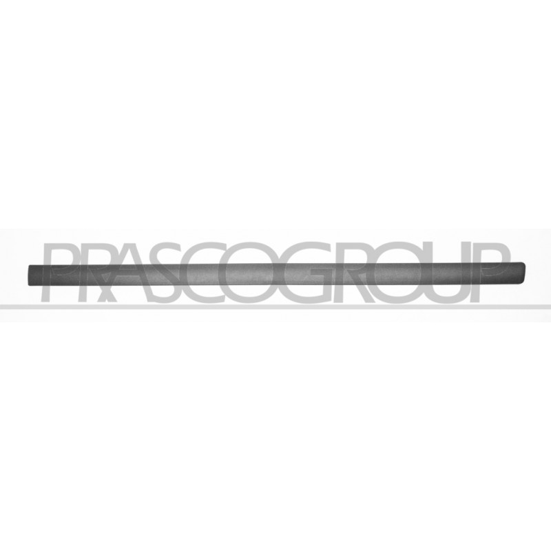 Bandeau gris foncé de porte avant côté passager Bandeau gris foncé de porte avant côté passager