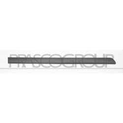 Bandeau gris foncé de porte arrière côté passager