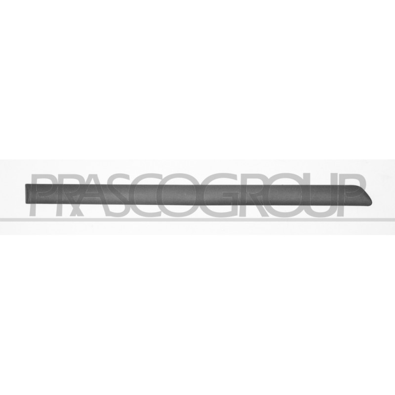 Bandeau gris foncé de porte arrière côté passager Bandeau gris foncé de porte arrière côté passager