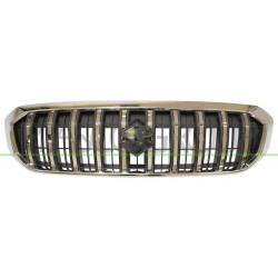 Grille de calandre argent avec cadre chrome