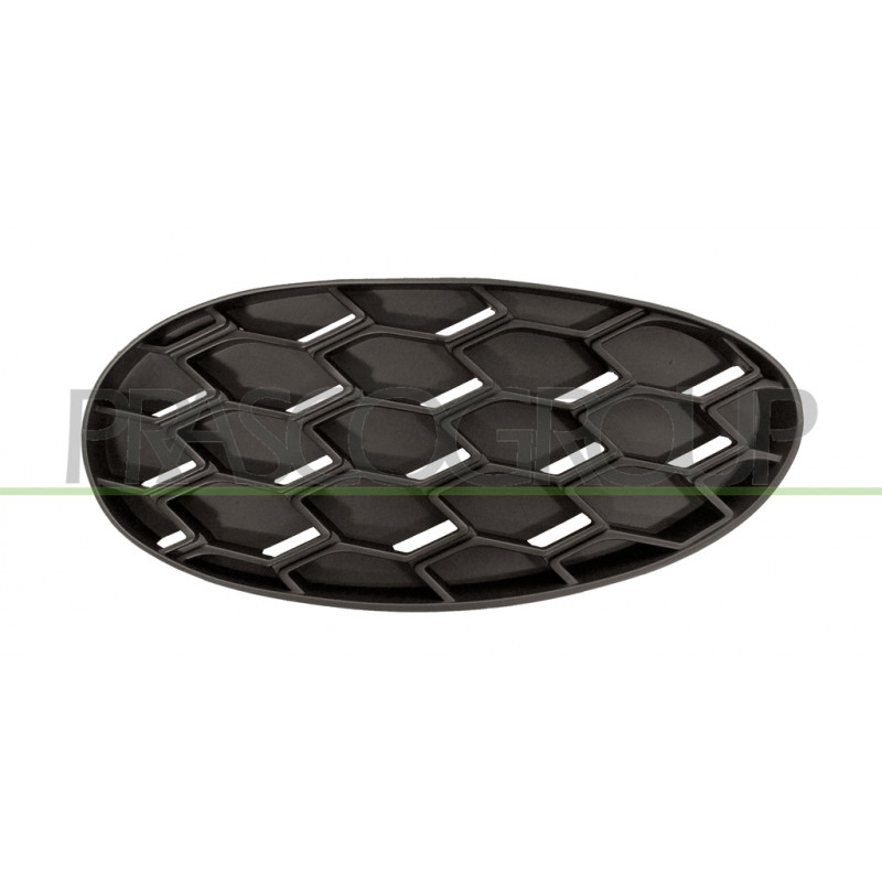 Grille de pare-chocs avant noir côté chauffeur
