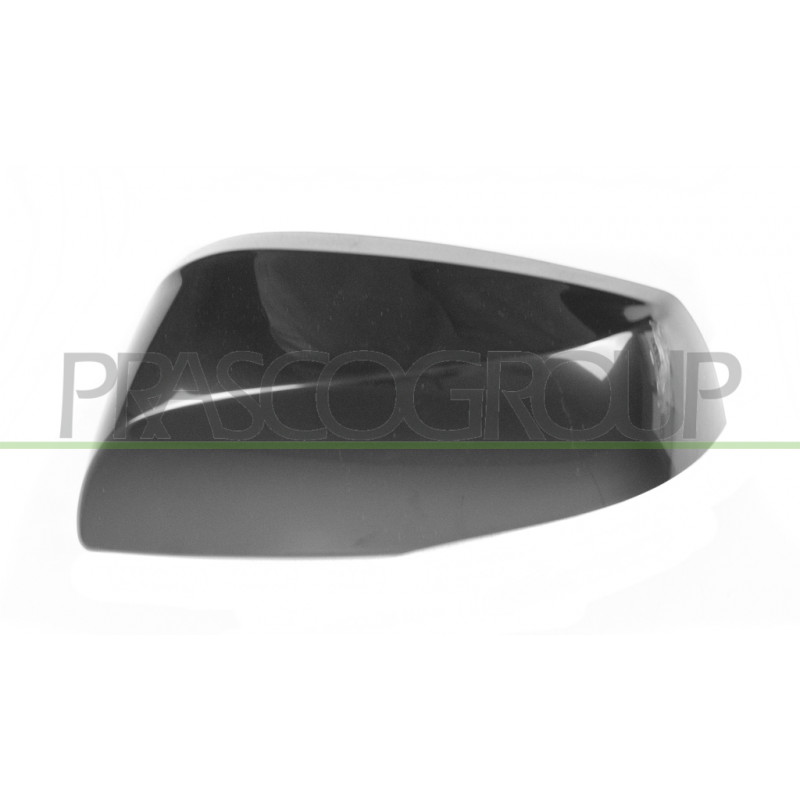 Coque de rétroviseur noir côté chauffeur Coque de rétroviseur noir côté chauffeur