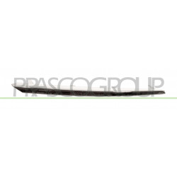 Moulure chrome de grille de calandre côté passager