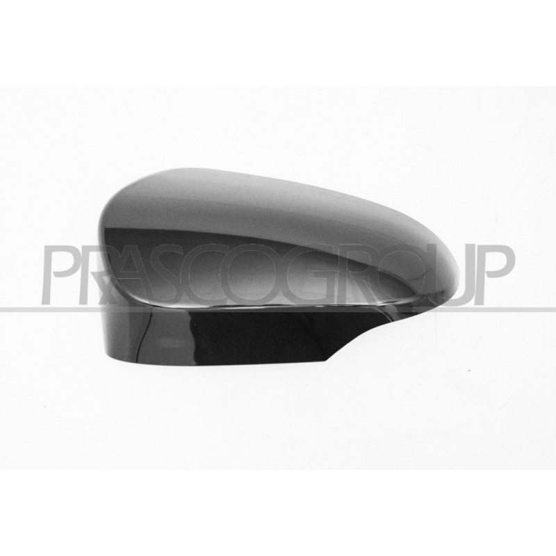Coque de rétroviseur noir côté chauffeur Coque de rétroviseur noir côté chauffeur