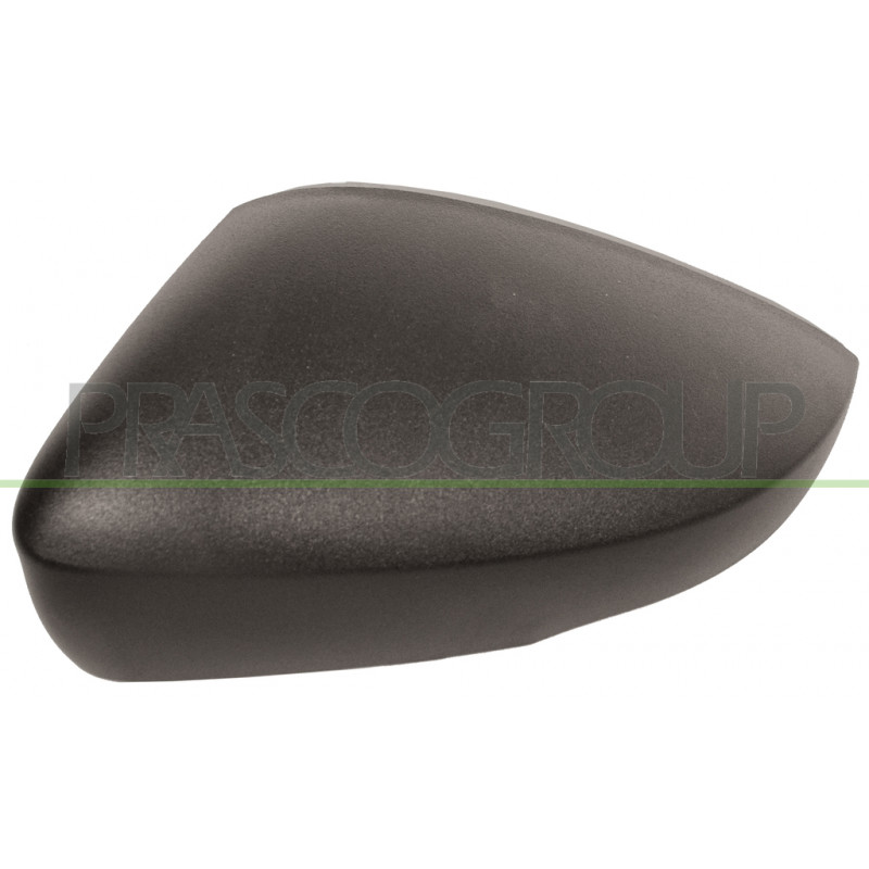 Coque de rétroviseur noir côté chauffeur Coque de rétroviseur noir côté chauffeur