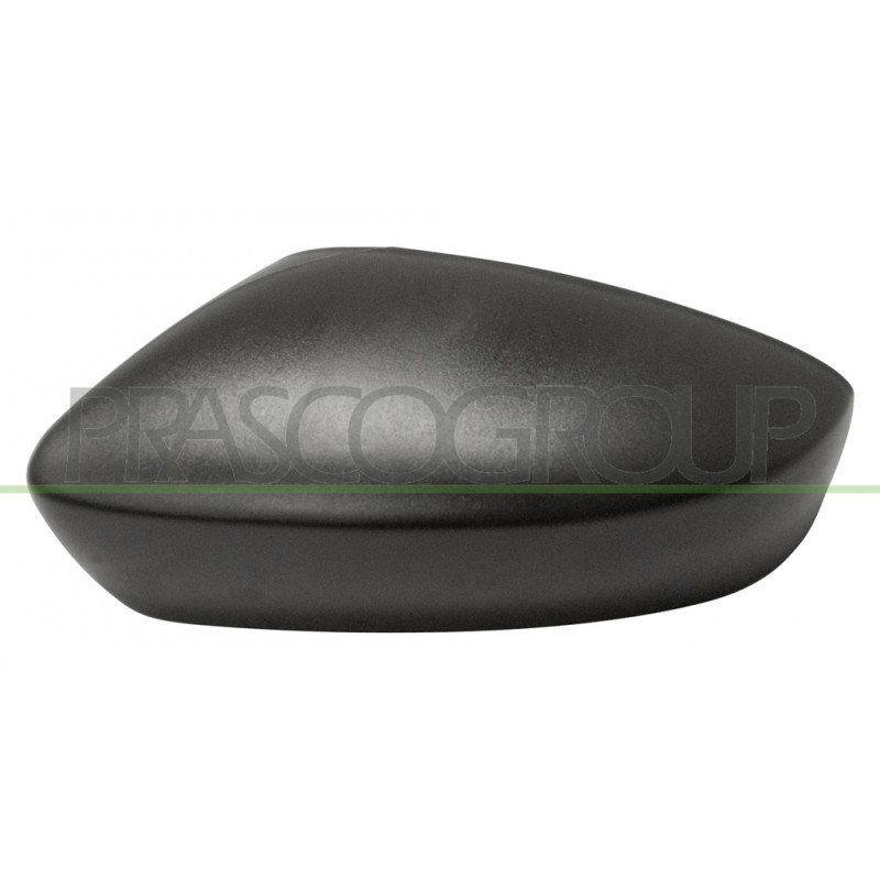 Coque de rétroviseur noir côté chauffeur Coque de rétroviseur noir côté chauffeur