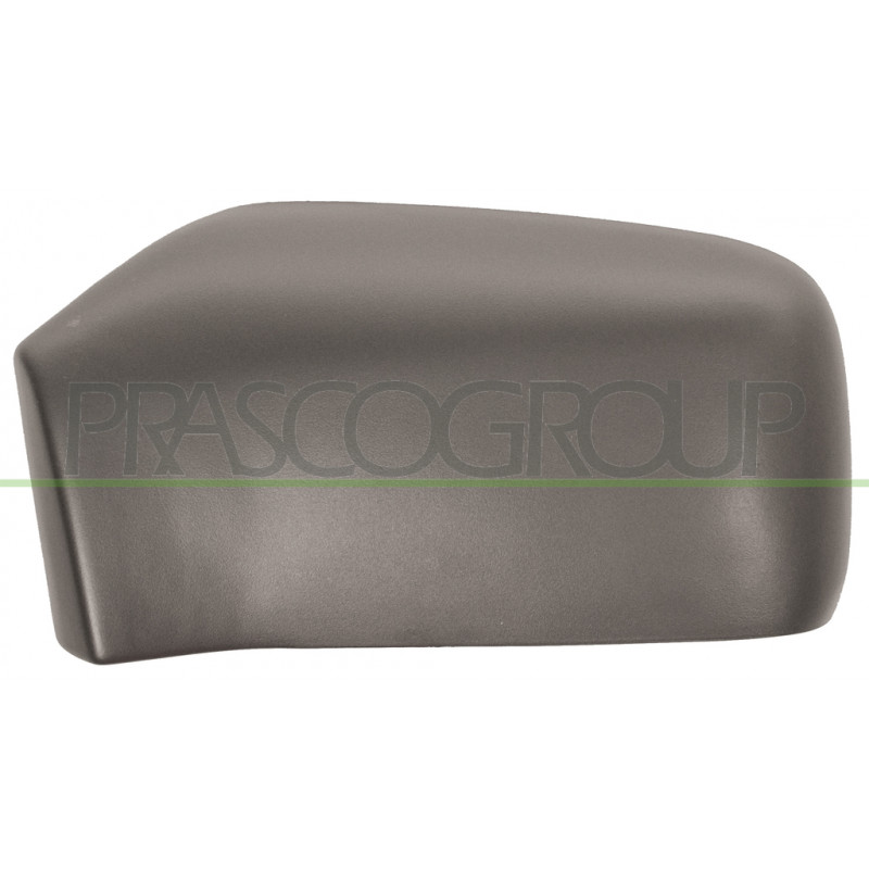 Coque de rétroviseur noir côté chauffeur Coque de rétroviseur noir côté chauffeur