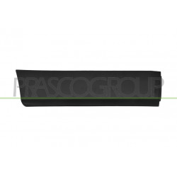 Moulure De Porte Arriere Droite-Noire