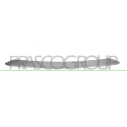 Bandeau Centrale de Pare-Chocs arrière Argent