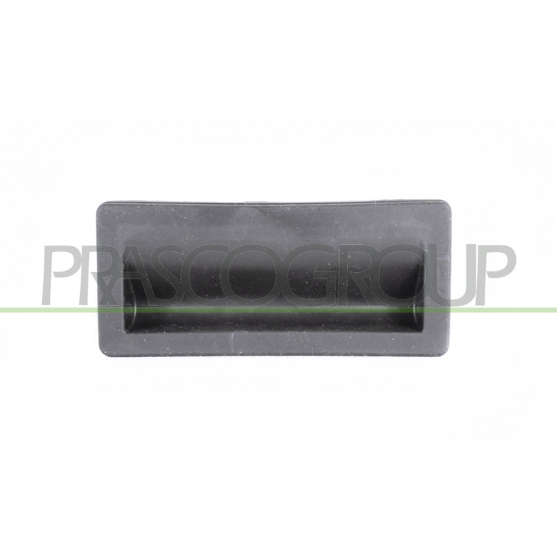 Poignee Exteriere Ouverture De Hayon-Noire Avec Micro-Interrupteur Poignee Exteriere Ouverture De Hayon-Noire Avec Micro-Interrupteur