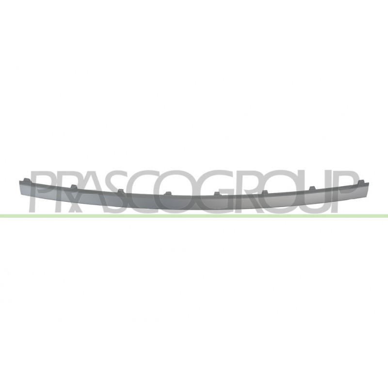 Bandeau Centrale de Pare-Chocs arrière Argent