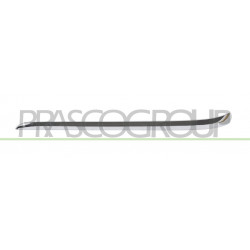 Bandeau côté passager de Pare-Chocs arrière Chromee