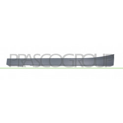 Moulure Couverture Longeron de Porte côté chauffeur avec Appret