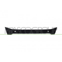 Moulure de Pare-Chocs Avant-Centrale-Noire-Brillante