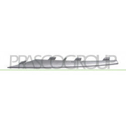 Moulure côté chauffeur de Grille de Pare-Chocs Avant-Argent