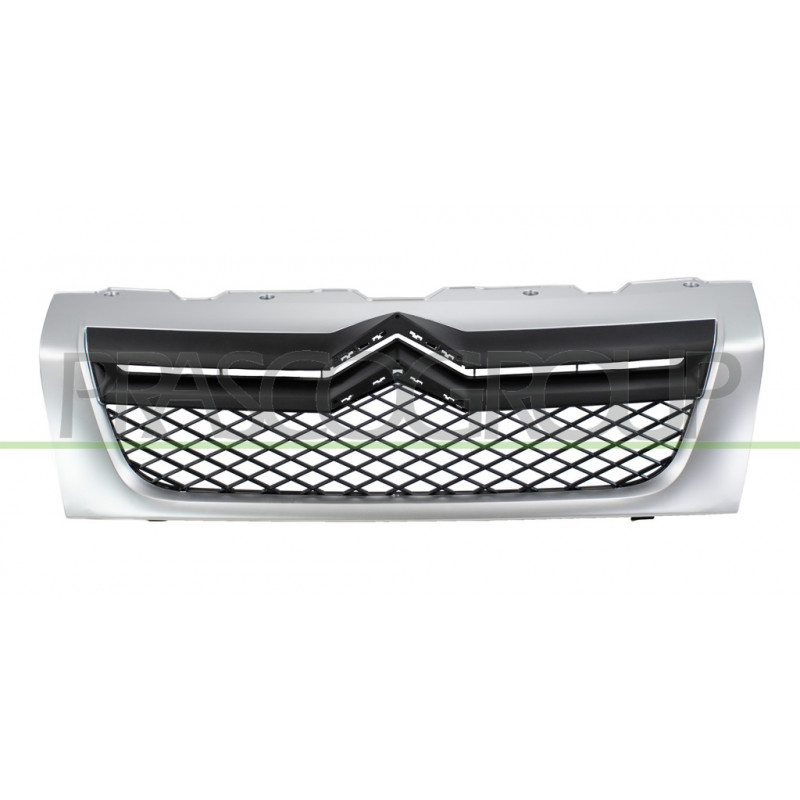 Grille de Calandre-Complete-Noire-Structuree-avec Profil Argent Grille de Calandre-Complete-Noire-Structuree-avec Profil Argent